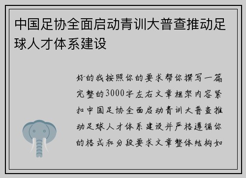 中国足协全面启动青训大普查推动足球人才体系建设